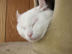 120401_02.jpg
