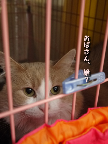 blog741.jpg