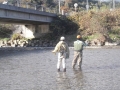 DSCF1215.jpg