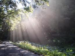 light.png