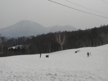 2_20120403130655.jpg