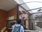 DSCF5073.jpg