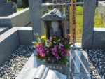 DSCF5172.jpg