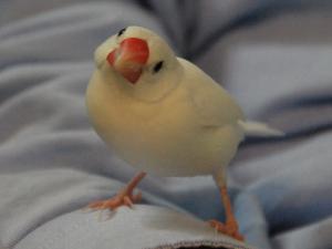 ニナちゃんはおゲヒンなことしませんよ~??