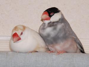 バリー・こうはお決まり??寝てます、、疲れてます。。