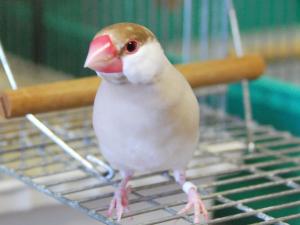 トップバッター朔さん、、どこ行こうか?悩んでます?