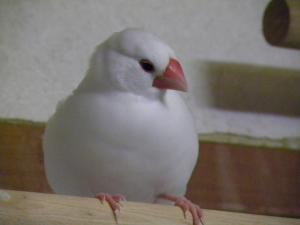 つちのこはま~今回は良い子でお留守番できた?