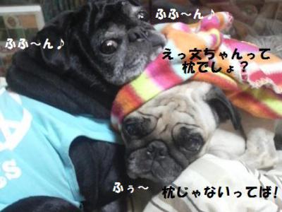 文太&陸