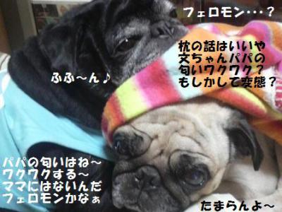 文太&陸