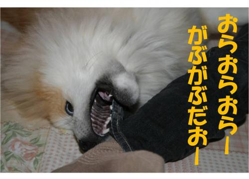 120218-4_convert_20120218214644.jpg