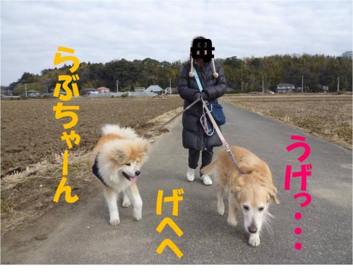 120222-3_convert_20120222205126.jpg