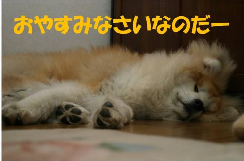 120402-4_convert_20120402213419.jpg