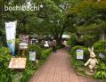 110828沢井園