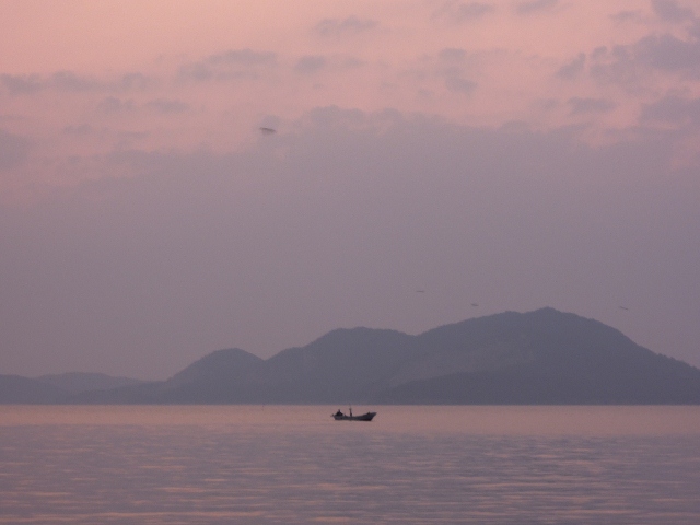 DSCN3776 (640x480)