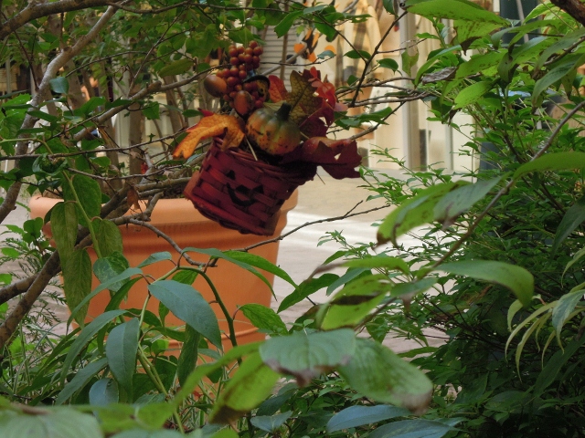 DSCN4019 (640x480)