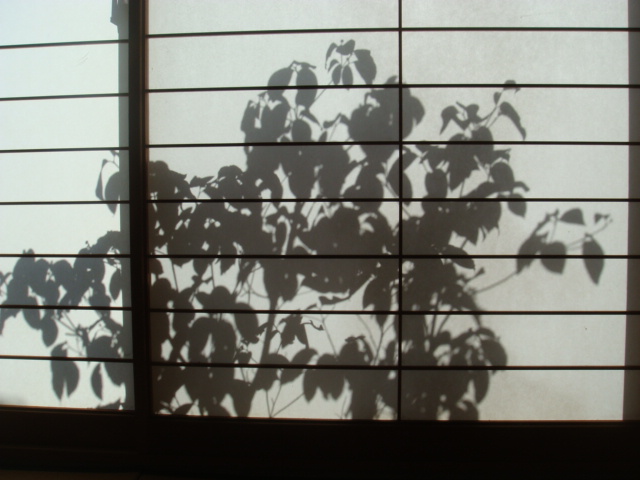 DSC01020 (640x480)