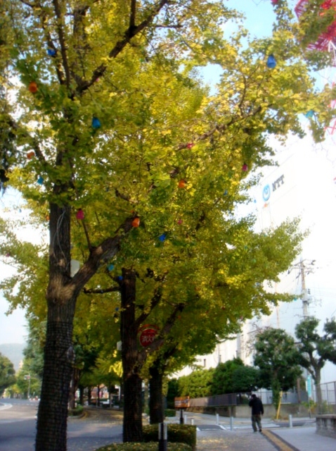 DSC01041 (478x640)