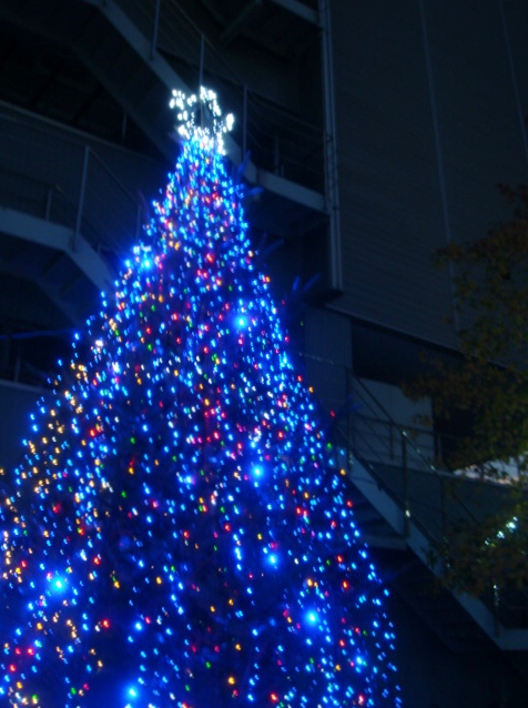 DSC01077 (476x638)