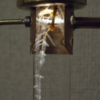 a628.jpg