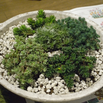 h119.jpg
