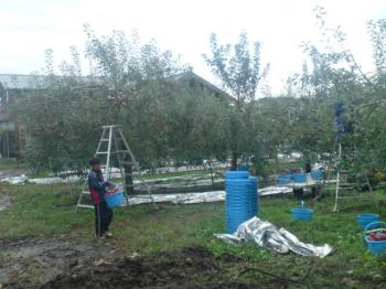 SN3J0392_convert_20111005175544.jpg