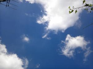 台風 15号 空 sky