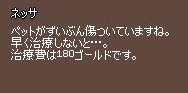 ネッサ_20110924