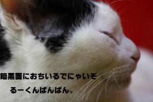 にゃにゃにゃにゃにゃ