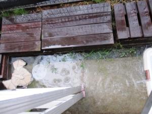裏の水たまり(大雨台風)