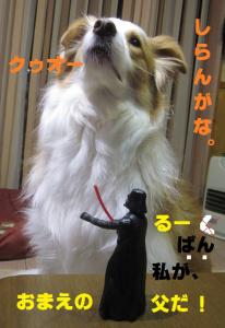 ダースべぇーだ。