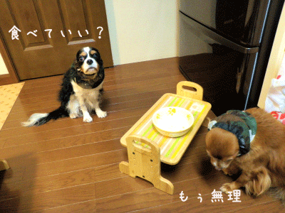 20120222-2.gif