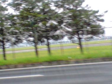 511-08_20110929231702.jpg