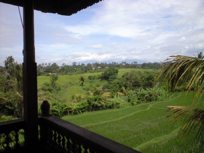 CA399377_20140207163833921.jpg