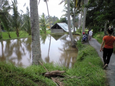 CA399405.jpg