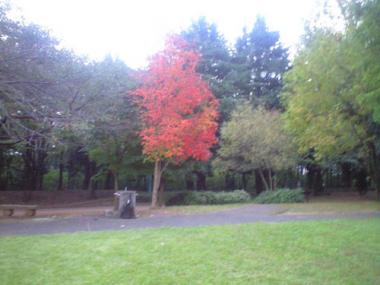 koen-77.jpg