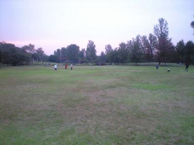 koen-79.jpg