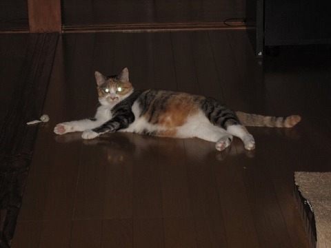 IMG_1304.jpg