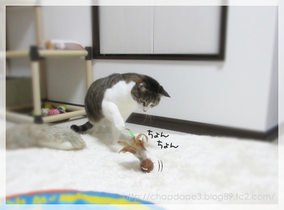 怖いけど興味はある