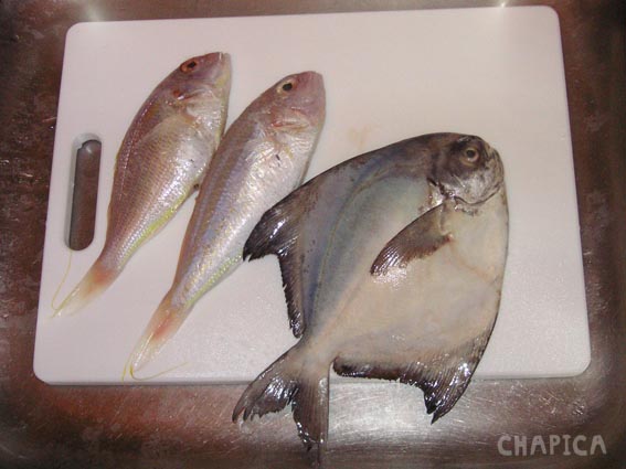fish_1
