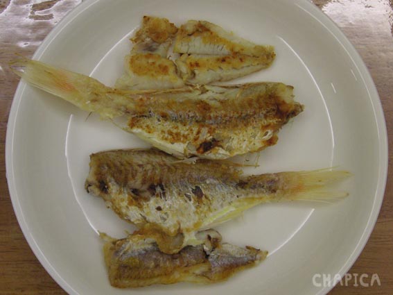 fish_3