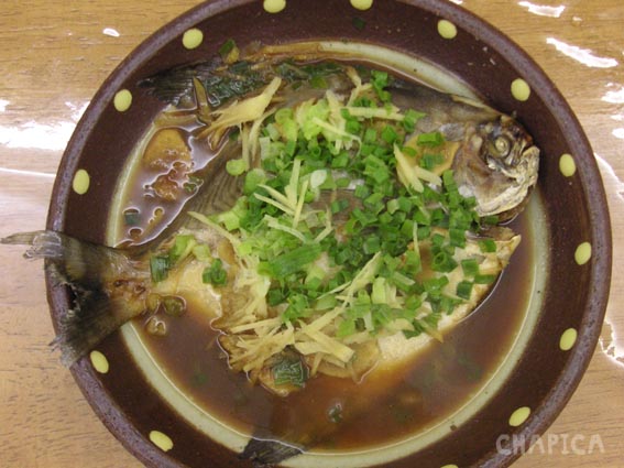 fish_4