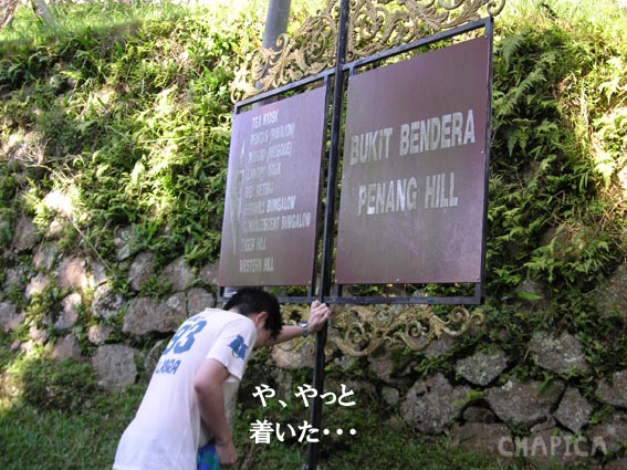 hill_4