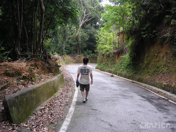hill_8