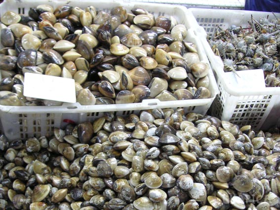 market_3