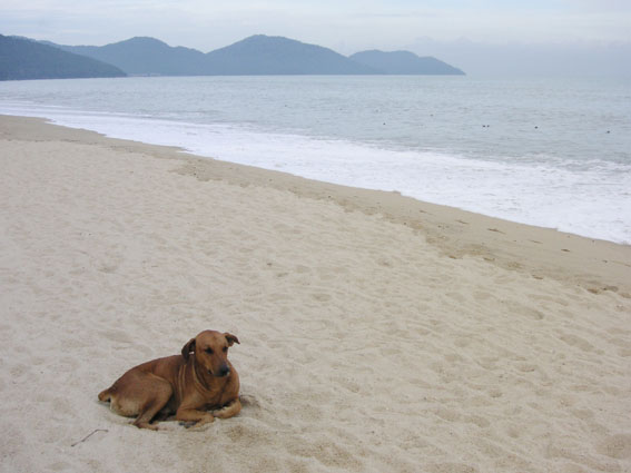 penang_2.jpg