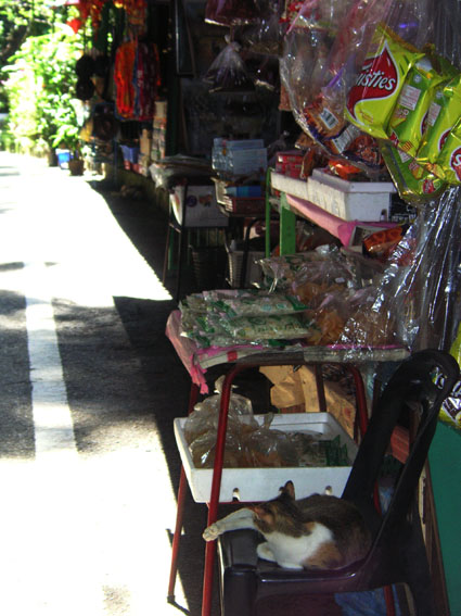 penang_6.jpg