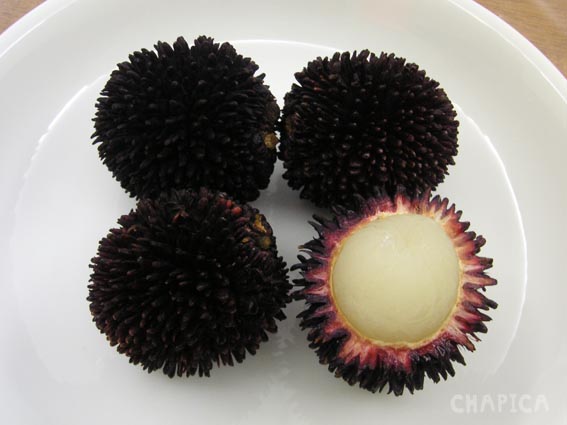 pulasan_1
