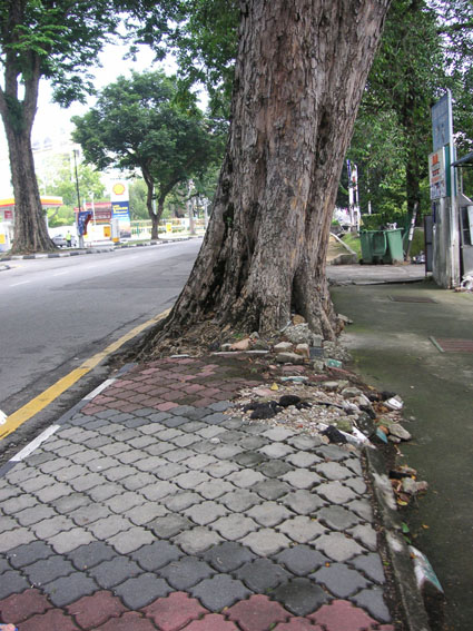 sidewalk_1