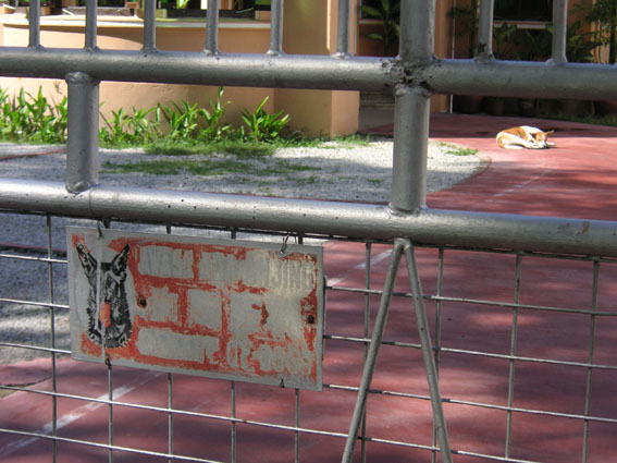 sidewalk_5