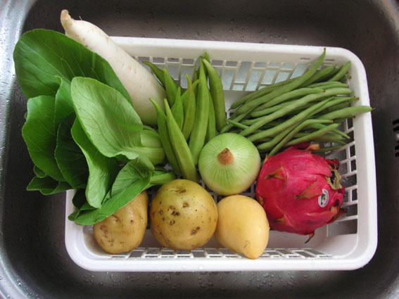 vege_1